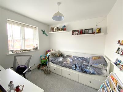 Picture 16